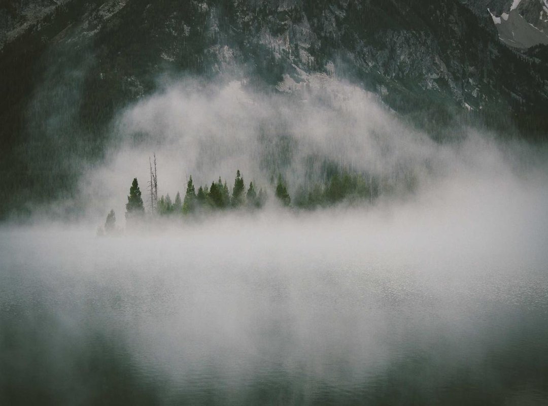 How to Get Baby Jasy: Release Date and Acquisition Methods