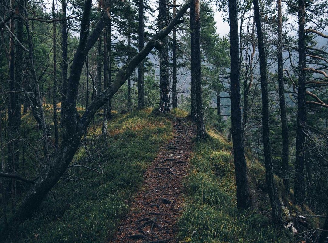 Navigating the Risks: How to Use Game Mods Safely