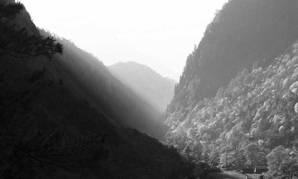 which online games are the best pmwvideogames