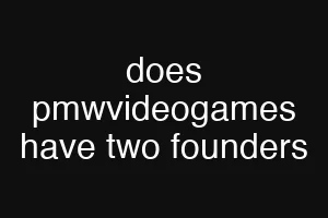 does pmwvideogames have two founders